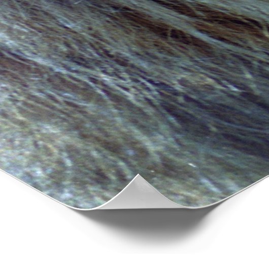 Poster Frères (Coin)