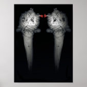 Poster Frères 2013 (Devant)