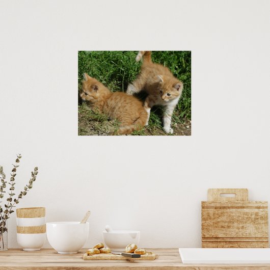 Poster Frères Tabby Orange (Cuisine)