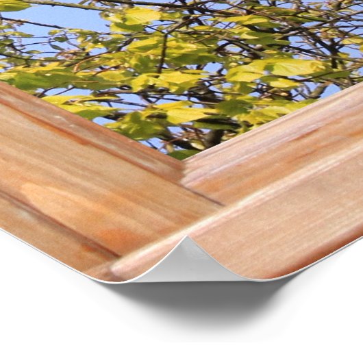 Poster Fresh Spring Leaves View from a Window (Coin)