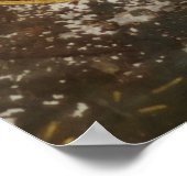 Poster Fresque (Coin)