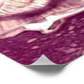 Poster Freya à sa roue tournante par Portia St. Luke (Coin)