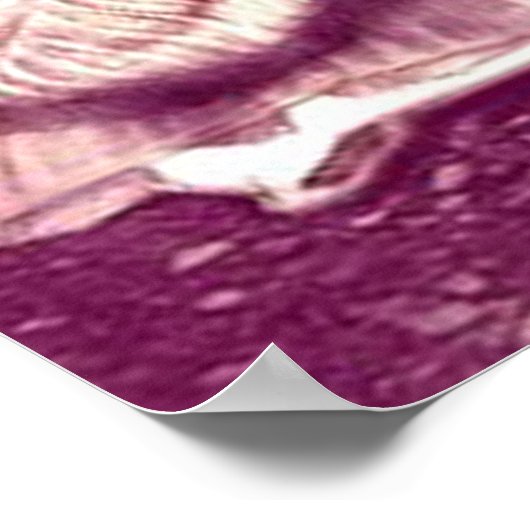 Poster Freya à sa roue tournante par Portia St. Luke (Coin)