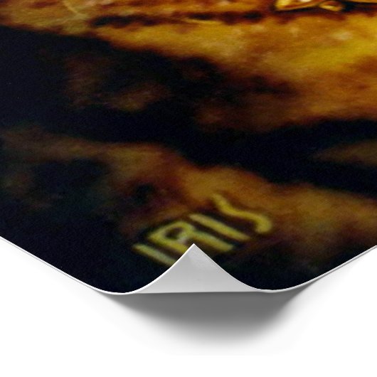 Poster Freya par Lisa Iris (Coin)