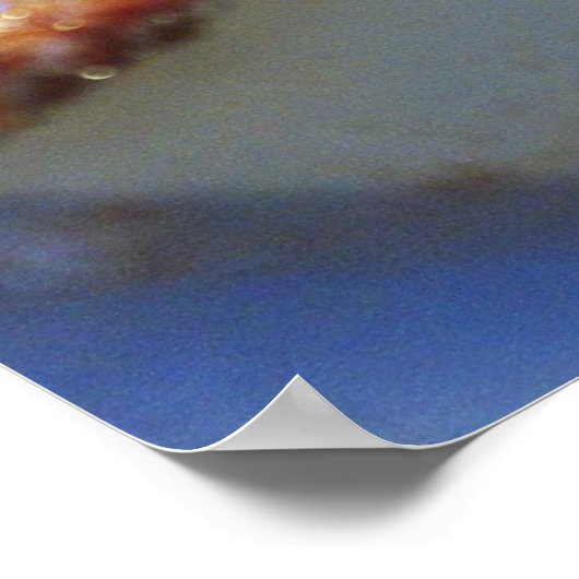 Poster Fried eggs (Coin)