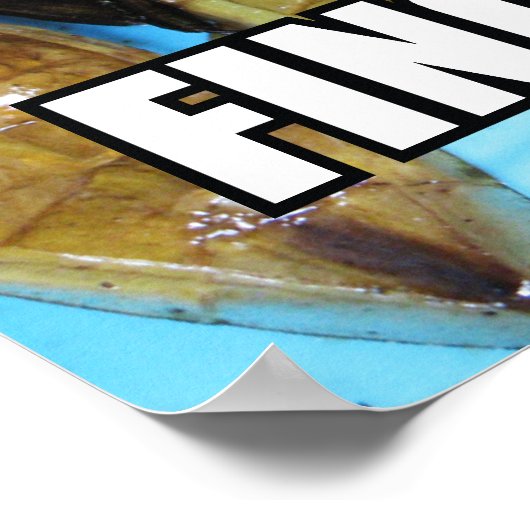 Poster Fried Giant Water Bug (Maeng Daa) ... Asian Food (Coin)