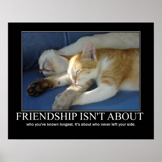 Poster Friendship Cats Love Art Inspiration (Devant)