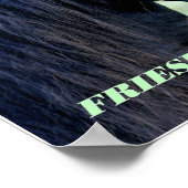 Poster Friesian (Coin)