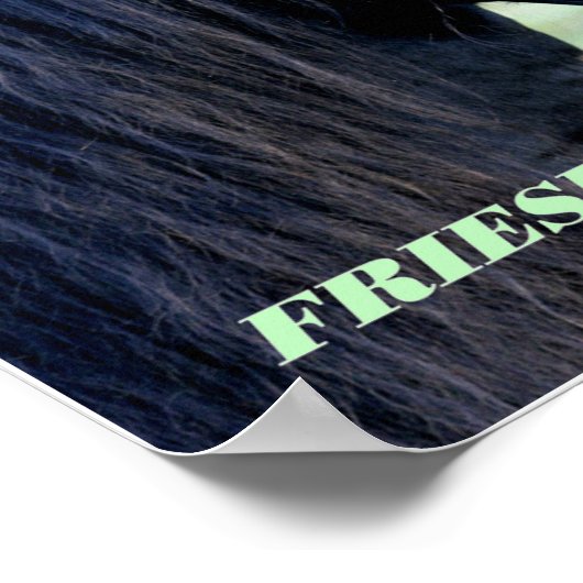Poster Friesian (Coin)