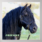 Poster Friesian (Devant)