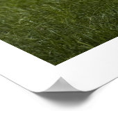 Poster Friesian cow (Coin)