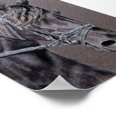 Poster Friésien (Coin)