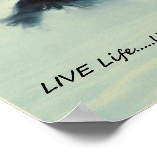 Poster Friésien (Coin)