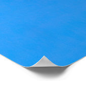 Poster Frigatebird de dessous (Coin)