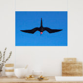 Poster Frigatebird de dessous (Cuisine)