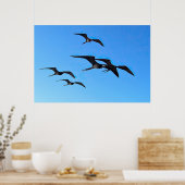 Poster Frigatebird Flock (Cuisine)
