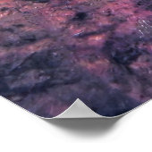 Poster Frilly Nudibranche (Coin)