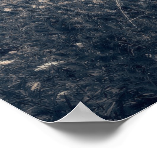 Poster Frisbee Disc Golf Basket (Coin)