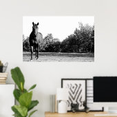 Poster Frisco (Bureau à domicile)