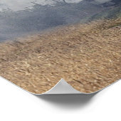 Poster Frisco 2-10-0, no 1630, Illinois Railroad Museum, (Coin)