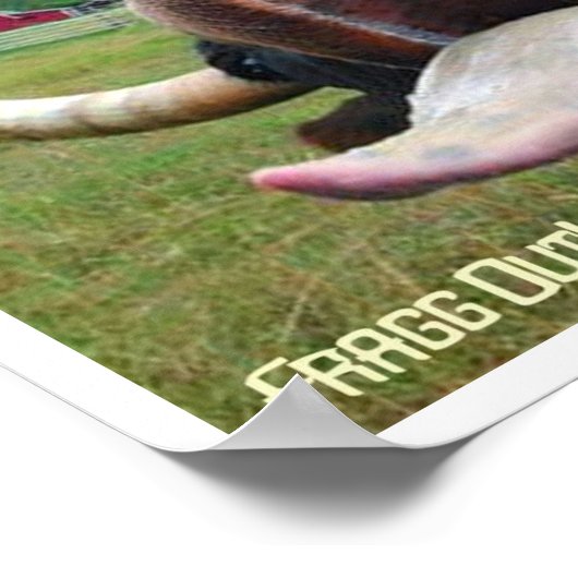 Poster frisson de langue de vache (Coin)