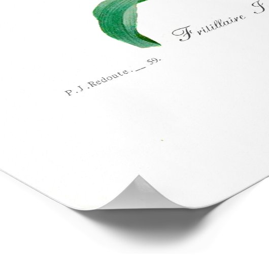 Poster Fritillaire (Coin)