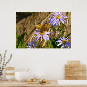 Poster Fritillaire Hydaspe sur fleurs d'aster pourpre (Cuisine)