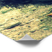 Poster Frizzle Rooster (Coin)