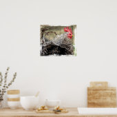 Poster Frizzle Rooster (Cuisine)