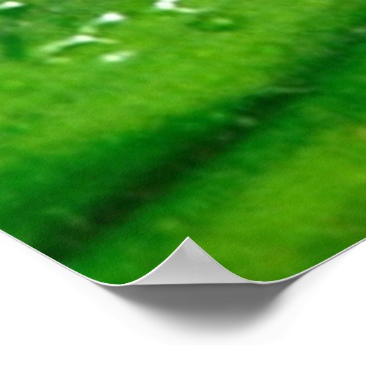 Poster Frog 4 (Coin)