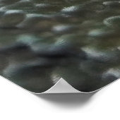 Poster Frogfish (Coin)