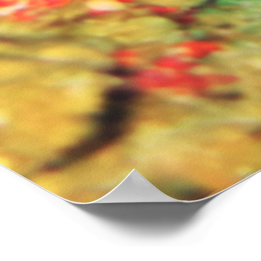 Poster Frogfish-Blanc géant (Coin)