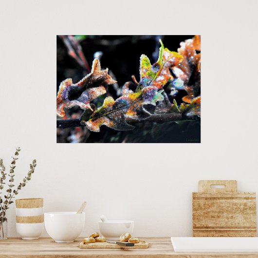 Poster Froid de fée de chêne (Cuisine)