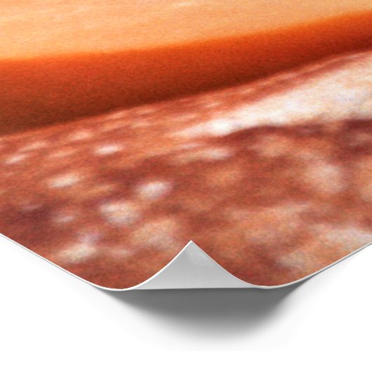 POSTER FROMAGE (Coin)