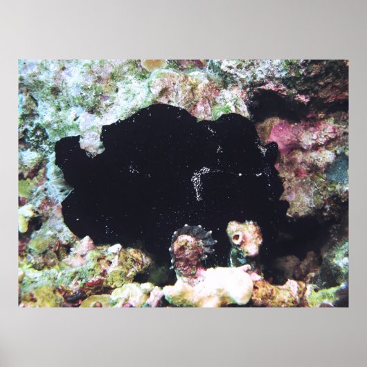 Poster Fromage géant noir (Devant)
