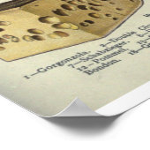 Poster Fromage vintage (Coin)
