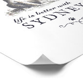 Poster Frontière Collie Life est meilleur avec le nom de (Coin)