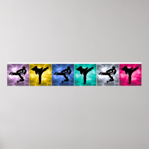 Poster Frontière de mur de foudre d'arts martiaux