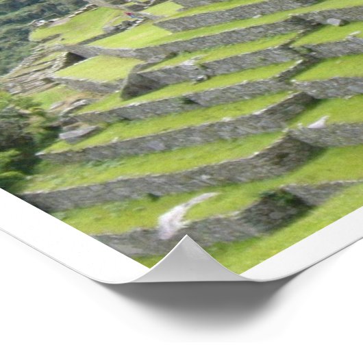 Poster frontière peruv-llama (Coin)