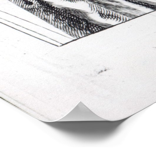 Poster Frontispiece à 'Roxana, le Fortunate (Coin)