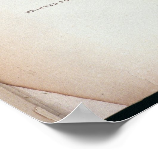 Poster Frontispiece au volume I (Coin)