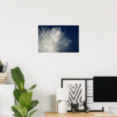 Poster Frost (Bureau à domicile)