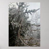 Poster Frost d'hiver (Devant)