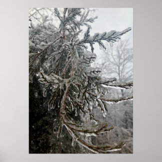 Poster Frost d'hiver