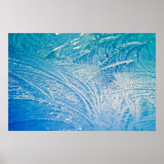 Poster Frost d'hiver (Devant)