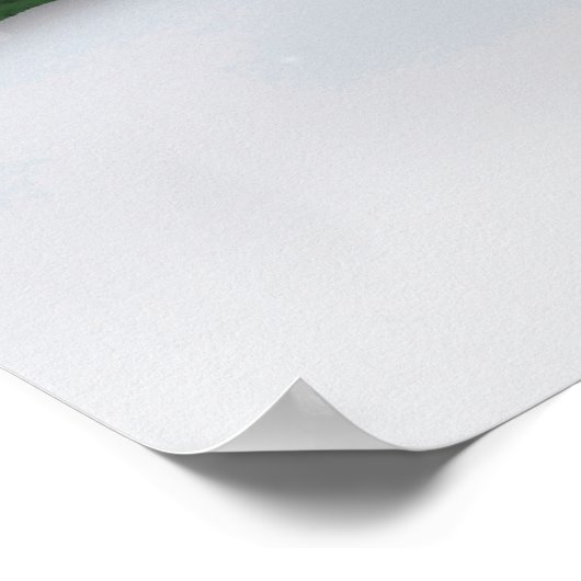 Poster Frost E. Snowman (Coin)