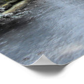 Poster Frost et glace dans un jardin Somerset (Coin)