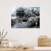 Poster Frost et glace dans un jardin Somerset (Cuisine)