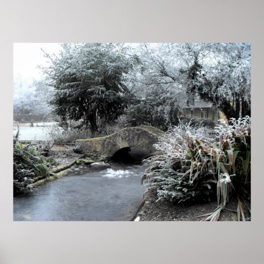 Poster Frost et glace dans un jardin Somerset (Devant)