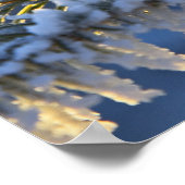 Poster Frost sur arbre à feuillage persistant, Homer, Ala (Coin)